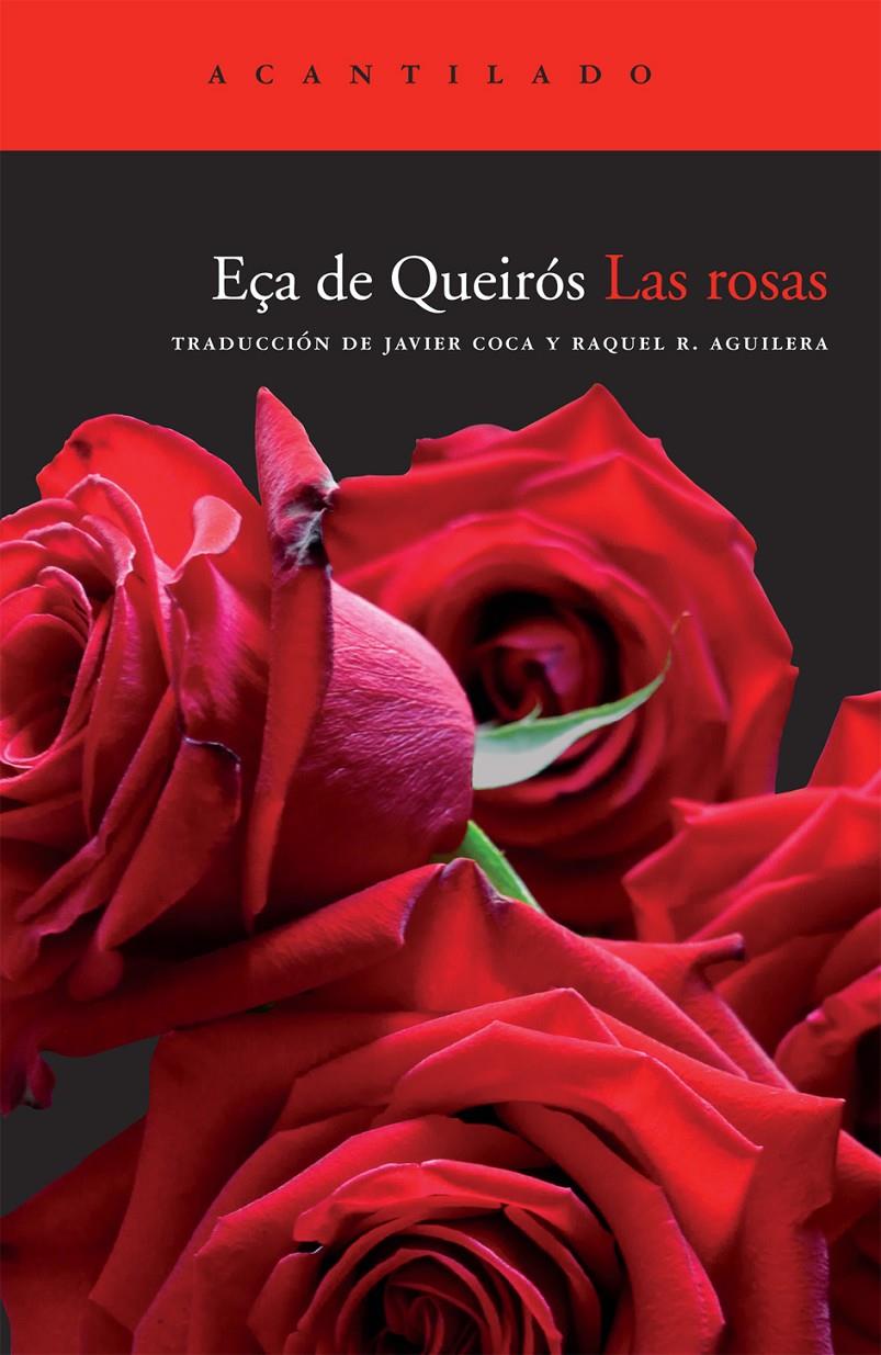 ROSAS, LAS | 9788492649495 | DE QUEIRÓS, EÇA | Galatea Llibres | Llibreria online de Reus, Tarragona | Comprar llibres en català i castellà online