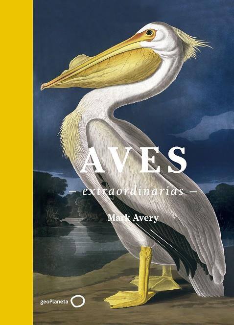 AVES EXTRAORDINARIAS | 9788408181477 | AVERY, MARK | Galatea Llibres | Llibreria online de Reus, Tarragona | Comprar llibres en català i castellà online