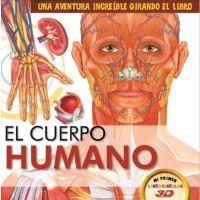 EL CUERPO HUMANO | 9788494671036 | EQUIPO EDITORIAL | Galatea Llibres | Llibreria online de Reus, Tarragona | Comprar llibres en català i castellà online