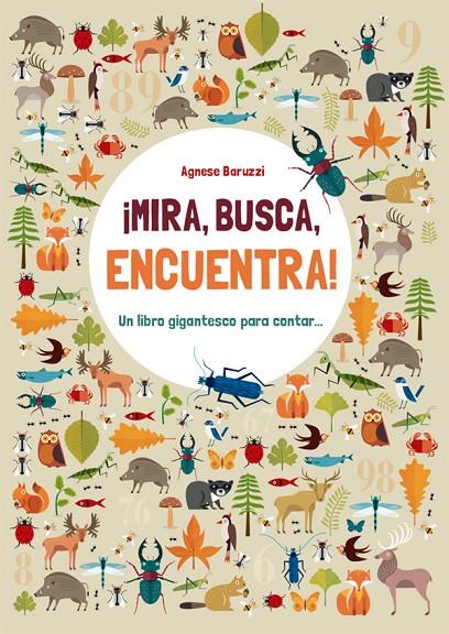 MIRA, BUSCA, ENCUENTRA | 9788468250922 | BARUZZI, AGNESE | Galatea Llibres | Llibreria online de Reus, Tarragona | Comprar llibres en català i castellà online