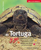 MI TORTUGA Y YO | 9788425514913 | WILKE | Galatea Llibres | Llibreria online de Reus, Tarragona | Comprar llibres en català i castellà online