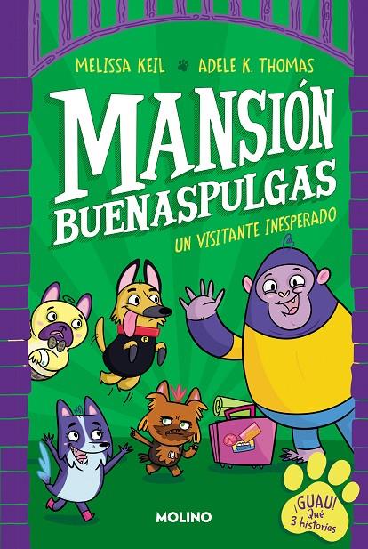 UN VISITANTE INESPERADO MANSION BUENASPULGAS 1 | 9788427233324 | KEIL, MELISSA | Galatea Llibres | Llibreria online de Reus, Tarragona | Comprar llibres en català i castellà online