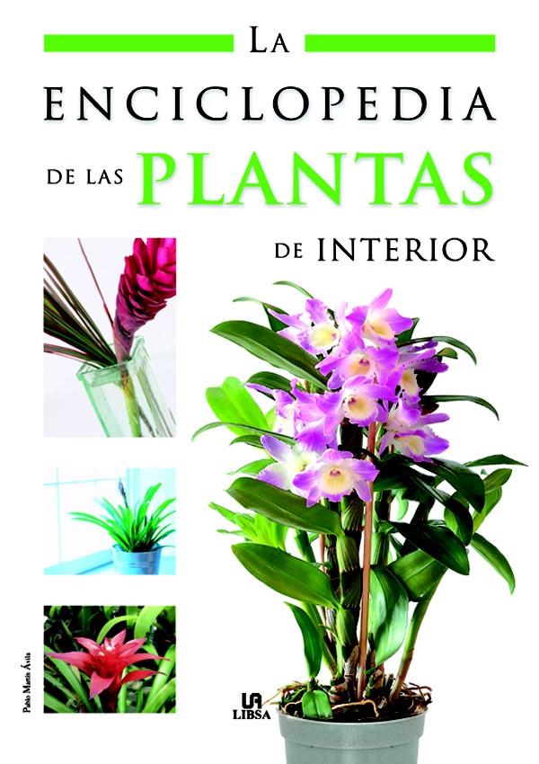 ENCICLOPEDIA DE LAS PLANTAS DE INTERIOR, LA | 9788466214124 | MARTÍN ÁVILA, PABLO | Galatea Llibres | Llibreria online de Reus, Tarragona | Comprar llibres en català i castellà online