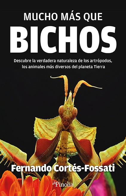 MUCHO MAS QUE BICHOS | 9788419878496 | CORTÉS FOSSATI, FERNANDO | Galatea Llibres | Librería online de Reus, Tarragona | Comprar libros en catalán y castellano online