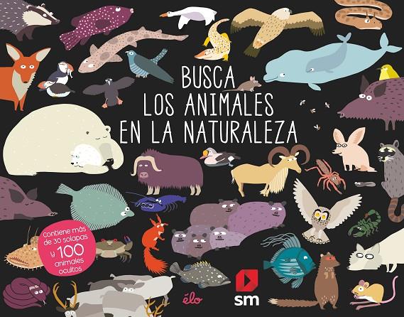 BUSCA LOS ANIMALES EN LA NATURALEZA | 9788491829614 | Galatea Llibres | Librería online de Reus, Tarragona | Comprar libros en catalán y castellano online