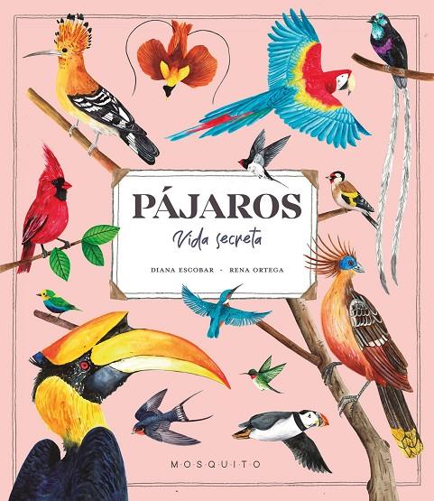 PÁJAROS. VIDA SECRETA | 9788419095527 | ESCOBAR, DIANA | Galatea Llibres | Llibreria online de Reus, Tarragona | Comprar llibres en català i castellà online