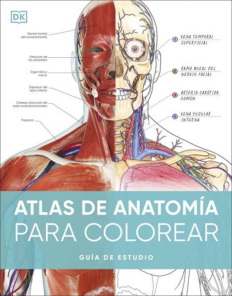 ATLAS DE ANATOMÍA PARA COLOREAR | 9780241703090 | Galatea Llibres | Librería online de Reus, Tarragona | Comprar libros en catalán y castellano online