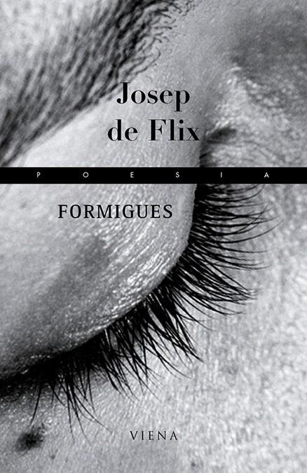 FORMIGUES | 9788483303900 | DE FLIX, JOSEP | Galatea Llibres | Llibreria online de Reus, Tarragona | Comprar llibres en català i castellà online