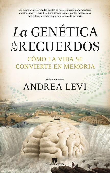 LA GENÉTICA DE LOS RECUERDOS | 9788419414540 | LEVI, ANDREA | Galatea Llibres | Llibreria online de Reus, Tarragona | Comprar llibres en català i castellà online