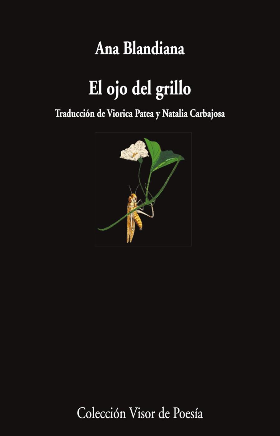 EL OJO DEL GRILLO | 9788498955750 | BLANDIANA, ANA | Galatea Llibres | Llibreria online de Reus, Tarragona | Comprar llibres en català i castellà online