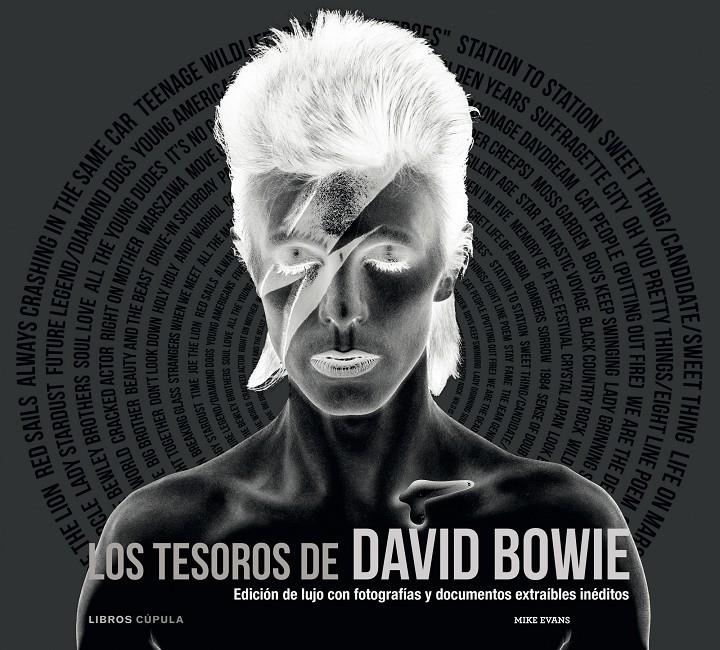 LOS TESOROS DE DAVID BOWIE | 9788448008918 | EVANS, MIKE | Galatea Llibres | Llibreria online de Reus, Tarragona | Comprar llibres en català i castellà online