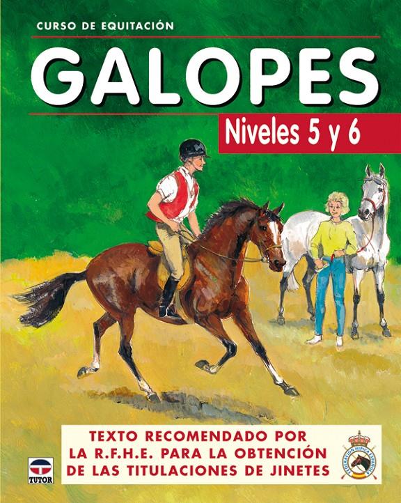 GALOPES NIVELES 5 Y 6 | 9788479025625 | LOS AUTORES DE GALOPES | Galatea Llibres | Llibreria online de Reus, Tarragona | Comprar llibres en català i castellà online