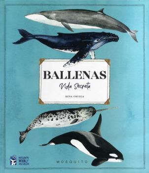 BALLENAS VIDA SECRETA | 9788412247947 | ORTEGA, RENA | Galatea Llibres | Llibreria online de Reus, Tarragona | Comprar llibres en català i castellà online