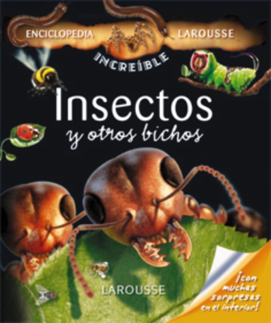 INSECTOS Y OTROS BICHOS | 9788480165952 | GUIBERT, FRANÇOISE DE | Galatea Llibres | Llibreria online de Reus, Tarragona | Comprar llibres en català i castellà online