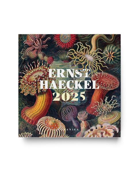 ERNST HAECKEL 2025, CALENDARIO DE PARED | 9786316544506 | HAECKEL, ERNST | Galatea Llibres | Llibreria online de Reus, Tarragona | Comprar llibres en català i castellà online