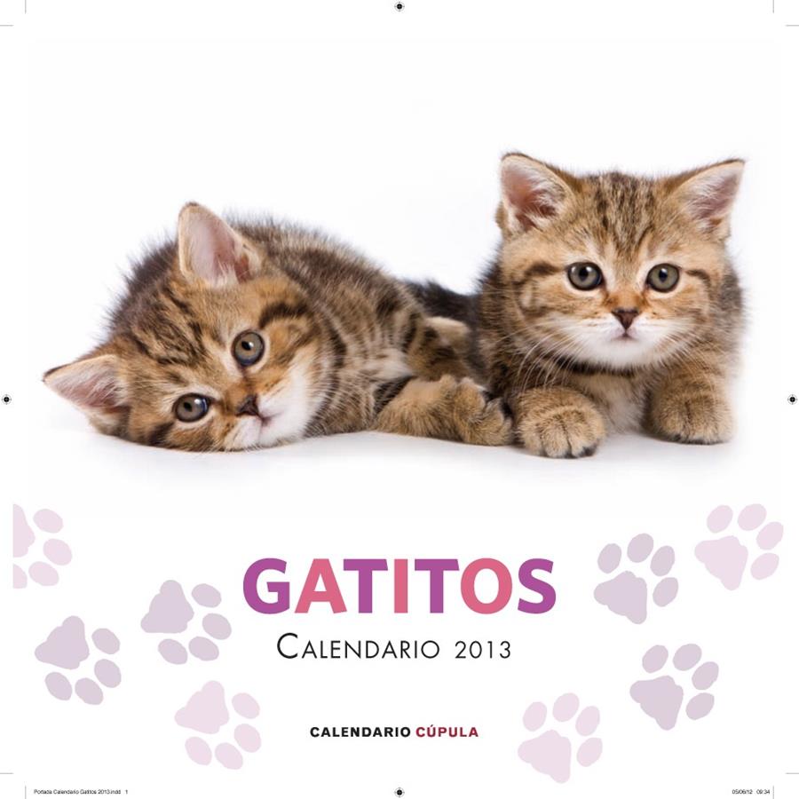 CALENDARIO GATITOS 2013 | 9788448006648 | Galatea Llibres | Llibreria online de Reus, Tarragona | Comprar llibres en català i castellà online