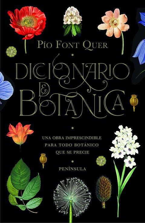 DICCIONARIO DE BOTANICA | 9788499429076 | FONT QUER, PÍO | Galatea Llibres | Llibreria online de Reus, Tarragona | Comprar llibres en català i castellà online