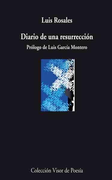 DIARIO DE UNA RESURRECCIÓN | 9788498957440 | ROSALES, LUIS | Galatea Llibres | Llibreria online de Reus, Tarragona | Comprar llibres en català i castellà online