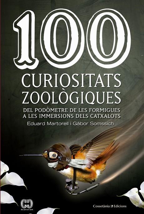 100 CURIOSITATS ZOOLÒGIQUES | 9788490343975 | MARTORELL I SABATÉ, EDUARD | Galatea Llibres | Llibreria online de Reus, Tarragona | Comprar llibres en català i castellà online