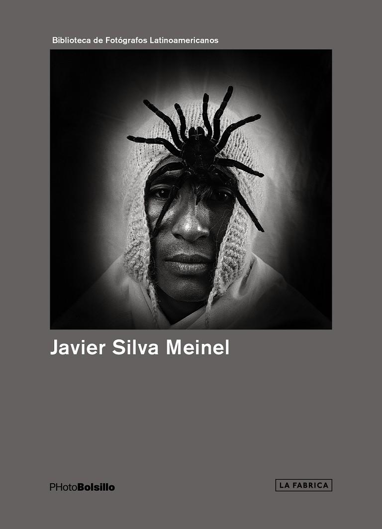 JAVIER SILVA MEINEL | 9788415303831 | SILVA MEINEL, JAVIER | Galatea Llibres | Llibreria online de Reus, Tarragona | Comprar llibres en català i castellà online