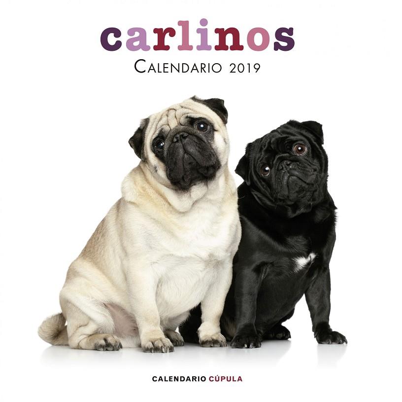 CALENDARIO 2019 CARLINOS | 9788448024680 | Galatea Llibres | Llibreria online de Reus, Tarragona | Comprar llibres en català i castellà online