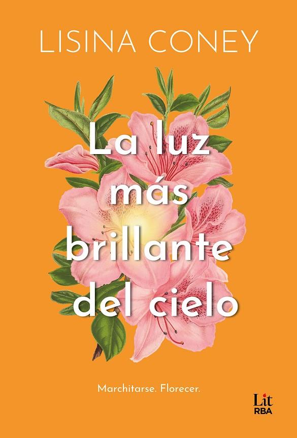 LA LUZ MÁS BRILLANTE DEL CIELO | 9788411329323 | CONEY, LISINA | Galatea Llibres | Llibreria online de Reus, Tarragona | Comprar llibres en català i castellà online