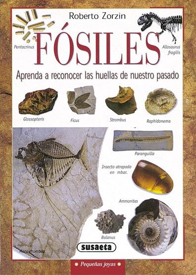 FOSILES | 9788430533527 | Galatea Llibres | Llibreria online de Reus, Tarragona | Comprar llibres en català i castellà online