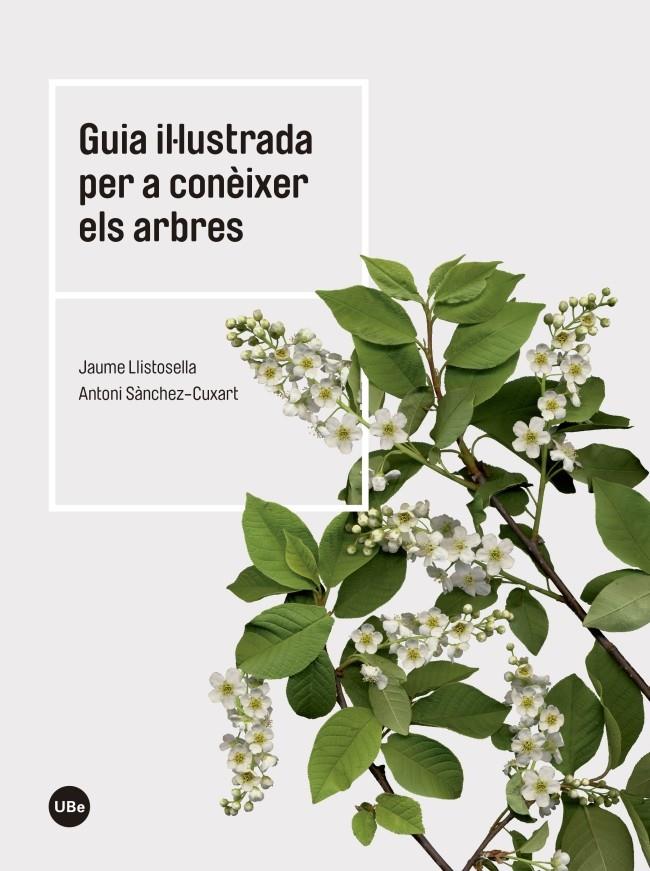 GUIA IL·LUSTRADA PER A CONÈIXER ELS ARBRES | 9788447542444 | LLISTOSELLA VIDAL, JAUME/SÀNCHEZ CUXART, ANTONI | Galatea Llibres | Librería online de Reus, Tarragona | Comprar libros en catalán y castellano online