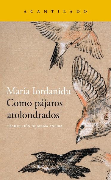 COMO PÁJAROS ATOLONDRADOS | 9788419036704 | IORDANIDU, MARIA | Galatea Llibres | Llibreria online de Reus, Tarragona | Comprar llibres en català i castellà online