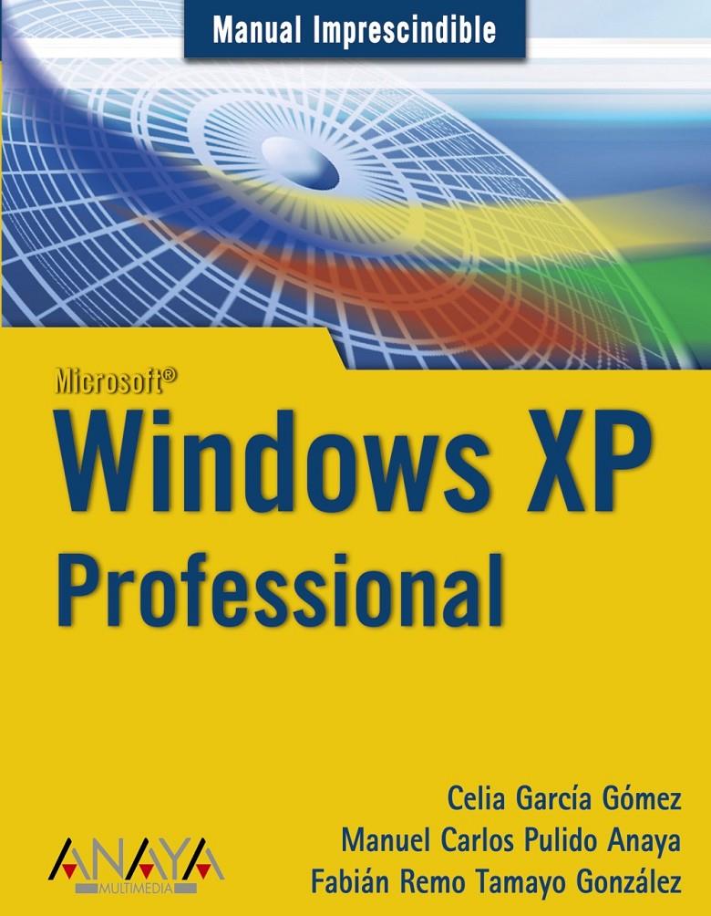 WINDOWS XP PROFESSIONAL | 9788441520424 | GARCIA GOMEZ, CELIA | Galatea Llibres | Librería online de Reus, Tarragona | Comprar libros en catalán y castellano online