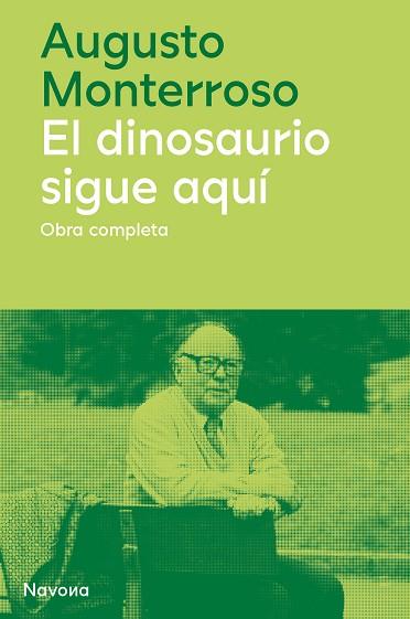 EL DINOSAURIO SIGUE AQUÍ | 9788419311177 | MONTERROSO, AUGUSTO | Galatea Llibres | Librería online de Reus, Tarragona | Comprar libros en catalán y castellano online