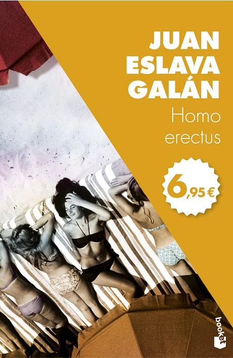 HOMO ERECTUS | 9788408166405 | ESLAVA GALAN, JUAN | Galatea Llibres | Librería online de Reus, Tarragona | Comprar libros en catalán y castellano online