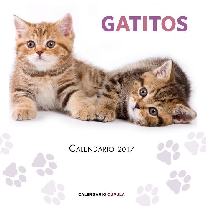 CALENDARIO GATITOS 2017 | 9788448022594 | AA. VV. | Galatea Llibres | Llibreria online de Reus, Tarragona | Comprar llibres en català i castellà online