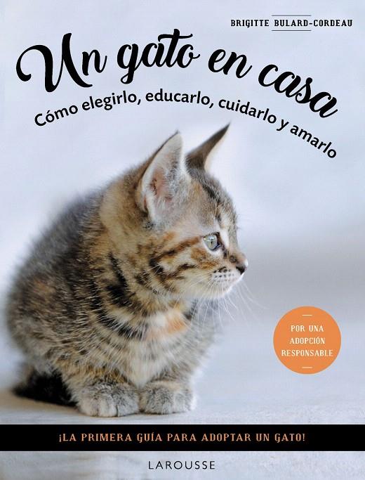 UN GATO EN CASA | 9788419436092 | BULARD-CORDEAU, BRIGITTE | Galatea Llibres | Llibreria online de Reus, Tarragona | Comprar llibres en català i castellà online