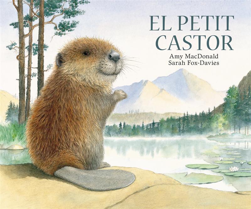 PETIT CASTOR,EL | 9788493817596 | MACDONALD, SARAH FOX | Galatea Llibres | Librería online de Reus, Tarragona | Comprar libros en catalán y castellano online