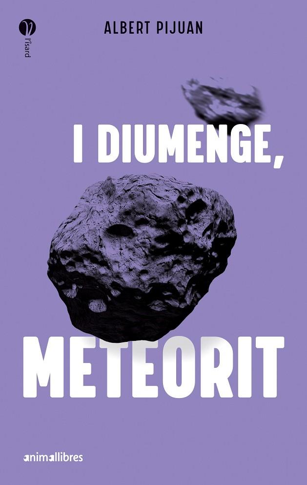 I DIUMENGE, METEORIT | 9788419659415 | ALBERT PIJUAN | Galatea Llibres | Llibreria online de Reus, Tarragona | Comprar llibres en català i castellà online