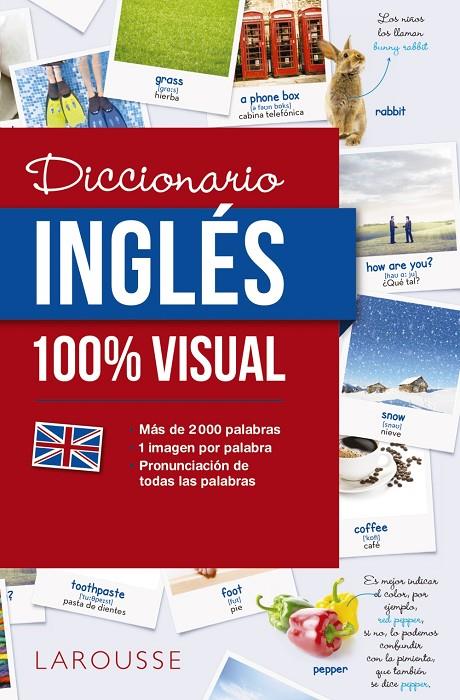 DICCIONARIO DE INGLÉS 100% VISUAL | 9788416641772 | Galatea Llibres | Llibreria online de Reus, Tarragona | Comprar llibres en català i castellà online