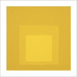 JOSEF ALBERS | 9788492480388 | WEBER, NICHOLAS FOX | Galatea Llibres | Llibreria online de Reus, Tarragona | Comprar llibres en català i castellà online