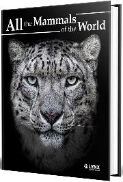 ALL THE MAMMALS OF THE WORLD | 9788416728664 | Galatea Llibres | Llibreria online de Reus, Tarragona | Comprar llibres en català i castellà online