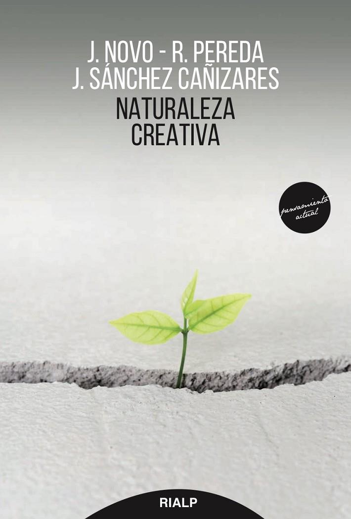 NATURALEZA CREATIVA | 9788432149160 | NOVO, FRANCISCO JAVIER/PEREDA, RUBéN/SáNCHEZ-CAñIZARES, JAVIER | Galatea Llibres | Llibreria online de Reus, Tarragona | Comprar llibres en català i castellà online