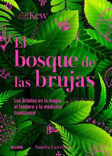 EL BOSQUE DE LAS BRUJAS | 9788410268272 | LAWRENCE, SANDRA/ROYAL BOTANIC GARDENS | Galatea Llibres | Llibreria online de Reus, Tarragona | Comprar llibres en català i castellà online