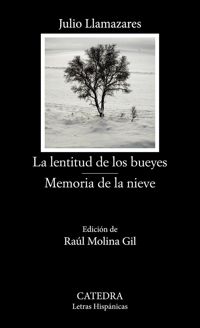 LA LENTITUD DE LOS BUEYES / MEMORIA DE LA NIEVE | 9788437647791 | LLAMAZARES, JULIO | Galatea Llibres | Librería online de Reus, Tarragona | Comprar libros en catalán y castellano online