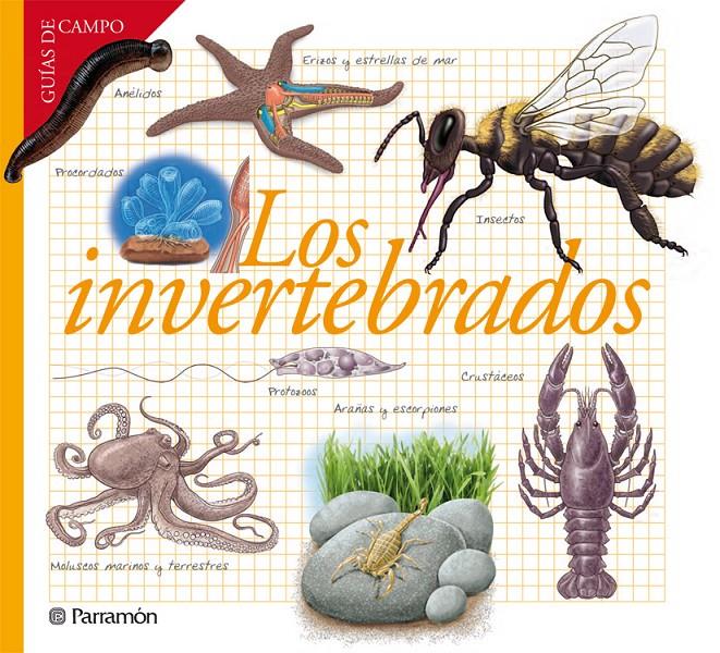 LOS INVERTEBRADOS | 9788434240599 | BARRES MANUEL, JOSEP M. | Galatea Llibres | Llibreria online de Reus, Tarragona | Comprar llibres en català i castellà online