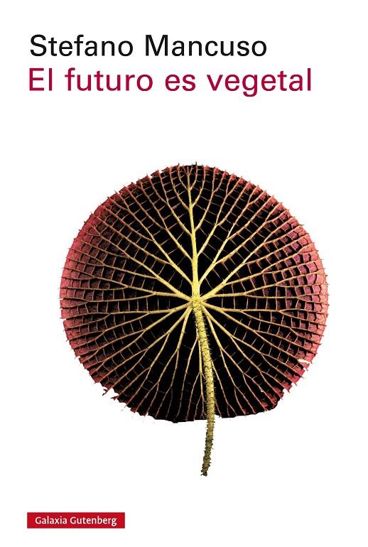 EL FUTURO ES VEGETAL | 9788417088170 | MANCUSO, STEFANO | Galatea Llibres | Llibreria online de Reus, Tarragona | Comprar llibres en català i castellà online