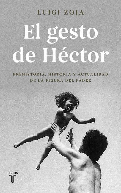 EL GESTO DE HéCTOR | 9788430619313 | ZOJA, LUIGI | Galatea Llibres | Llibreria online de Reus, Tarragona | Comprar llibres en català i castellà online