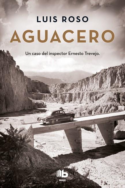 AGUACERO (INSPECTOR TREVEJO 1) | 9788490704363 | ROSO, LUIS | Galatea Llibres | Llibreria online de Reus, Tarragona | Comprar llibres en català i castellà online