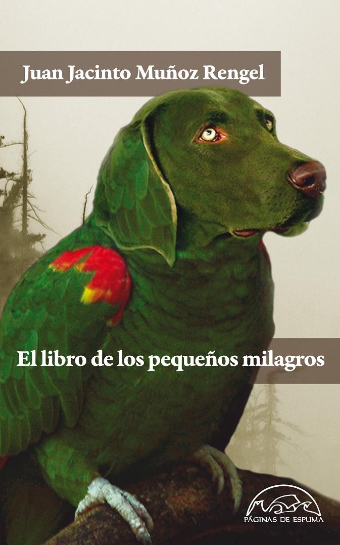 EL LIBRO DE LOS PEQUEÑOS MILAGROS | 9788483931462 | MUÑOZ RENGEL, JUAN JACINTO | Galatea Llibres | Llibreria online de Reus, Tarragona | Comprar llibres en català i castellà online