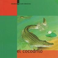 COCODRILO, EL | 9788424617301 | DURAN, TERESA | Galatea Llibres | Llibreria online de Reus, Tarragona | Comprar llibres en català i castellà online