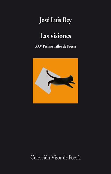 LAS VISIONES | 9788498958164 | REY, JOSE LUIS | Galatea Llibres | Llibreria online de Reus, Tarragona | Comprar llibres en català i castellà online