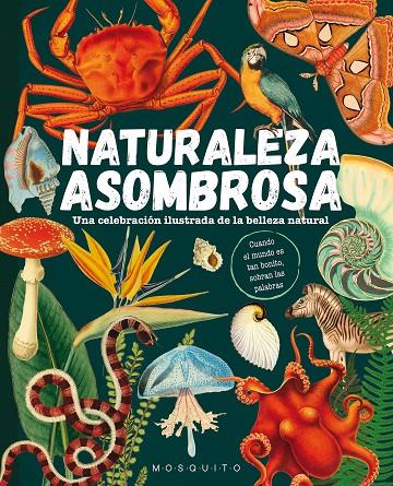 NATURALEZA ASOMBROSA | 9788419095589 | Galatea Llibres | Llibreria online de Reus, Tarragona | Comprar llibres en català i castellà online